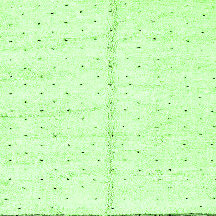 Square Solid Green Modern Rug, abs2946grn