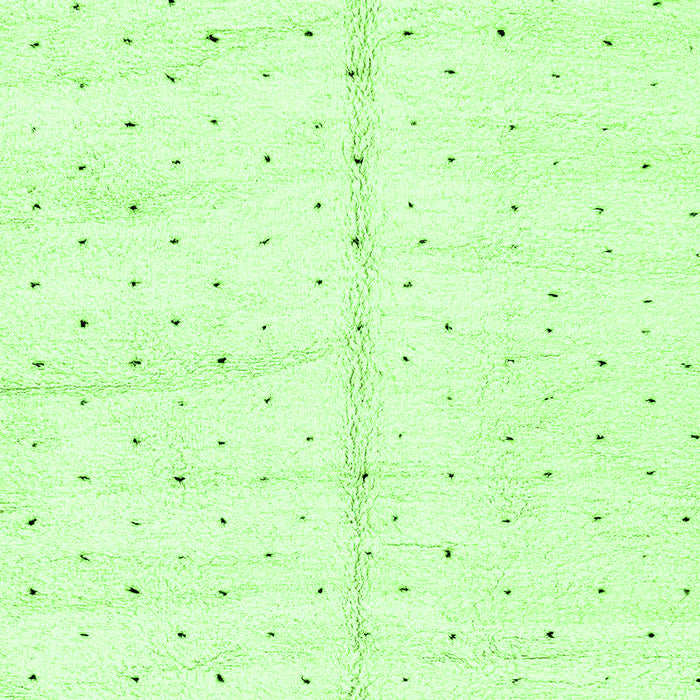 Solid Green Modern Rug, abs2946grn