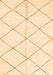 Solid Orange Modern Rug, abs2949org