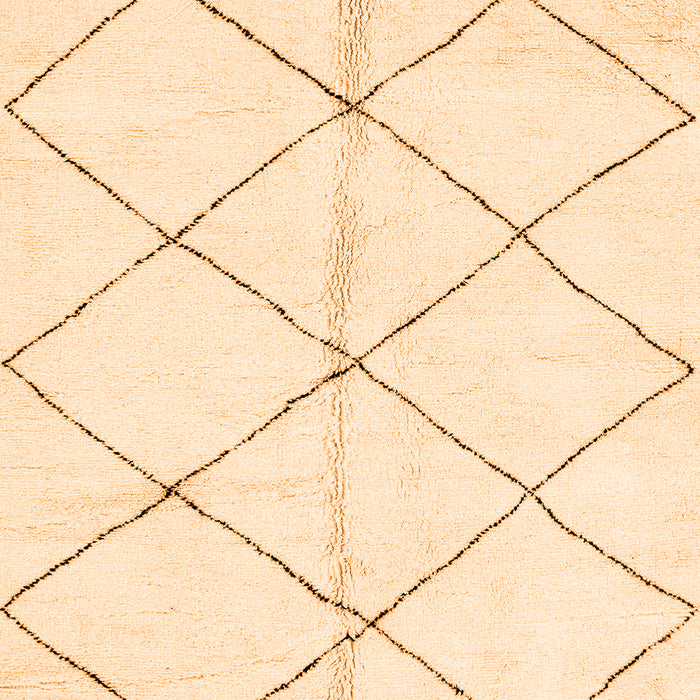 Solid Orange Modern Rug, abs2949org