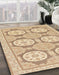 Abstract Brown Gold Oriental Rug in Family Room, abs294