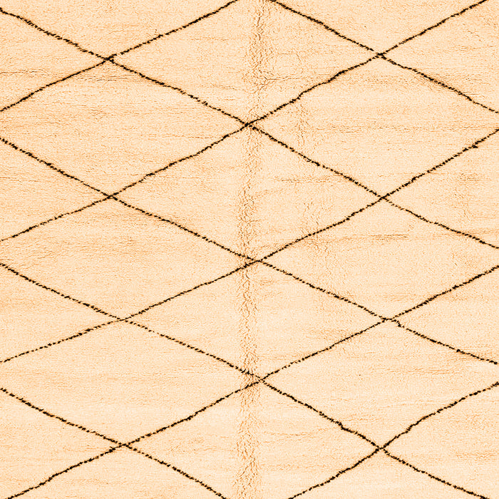 Square Machine Washable Solid Orange Modern Area Rugs, wshabs2950org
