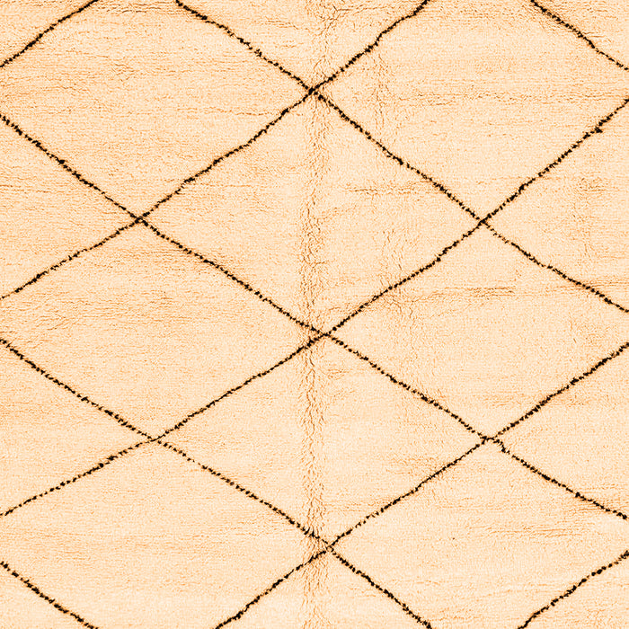 Solid Orange Modern Rug, abs2950org