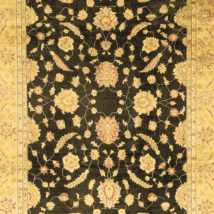 Machine Washable Oriental Brown Traditional Rug, wshabs2971brn