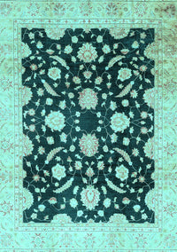 Oriental Light Blue Traditional Rug, abs2971lblu