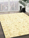 Machine Washable Abstract Brown Gold Rug in a Family Room, wshabs2973