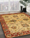 Machine Washable Abstract Orange Rug in a Family Room, wshabs2986