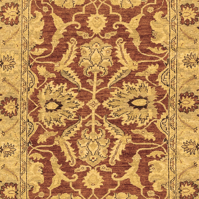 Oriental Brown Traditional Rug, abs2987brn