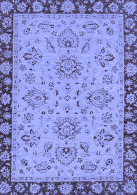 Oriental Blue Traditional Rug, abs2988blu