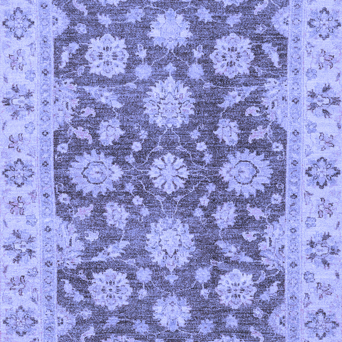 Oriental Blue Traditional Rug, abs2989blu