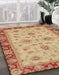 Abstract Orange Oriental Rug in Family Room, abs2998