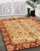 Machine Washable Abstract Orange Rug in a Family Room, wshabs3011