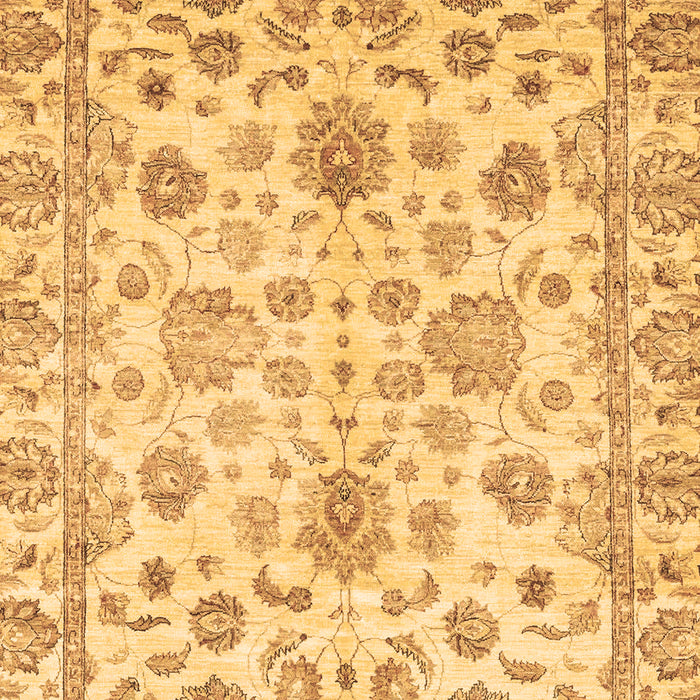 Machine Washable Oriental Brown Traditional Rug, wshabs3014brn