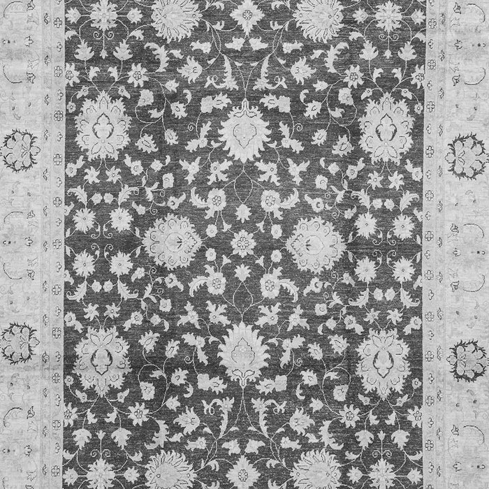 Oriental Gray Traditional Rug, abs3018gry