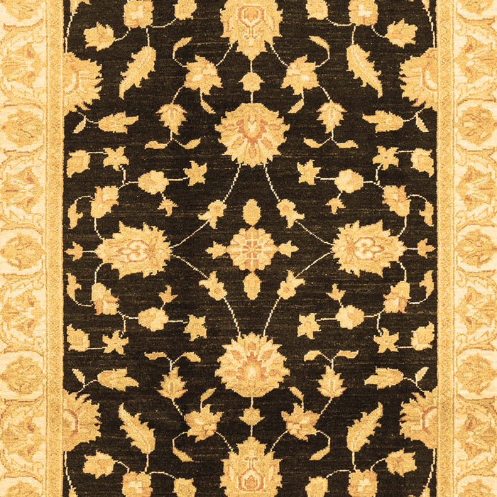 Machine Washable Oriental Brown Traditional Rug, wshabs3020brn