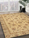 Machine Washable Abstract Cinnamon Brown Rug in a Family Room, wshabs3029