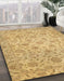 Machine Washable Abstract Caramel Brown Rug in a Family Room, wshabs3030