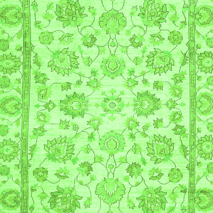 Oriental Green Traditional Rug, abs3031grn