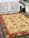 Abstract Orange Oriental Rug in Family Room, abs3032