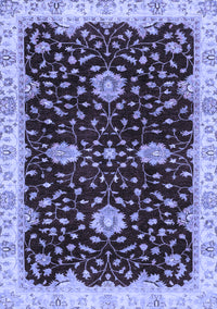 Oriental Blue Traditional Rug, abs3034blu