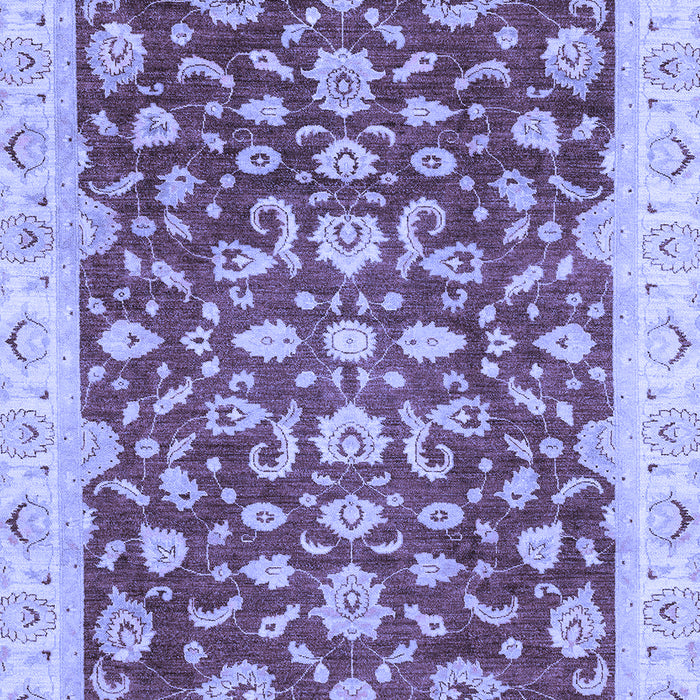 Oriental Blue Traditional Rug, abs3036blu