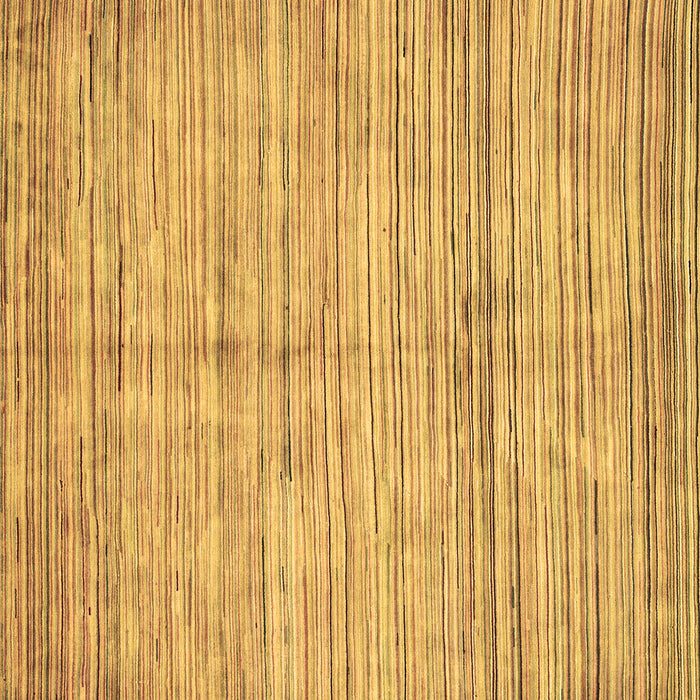 Square Oriental Brown Modern Rug, abs3048brn