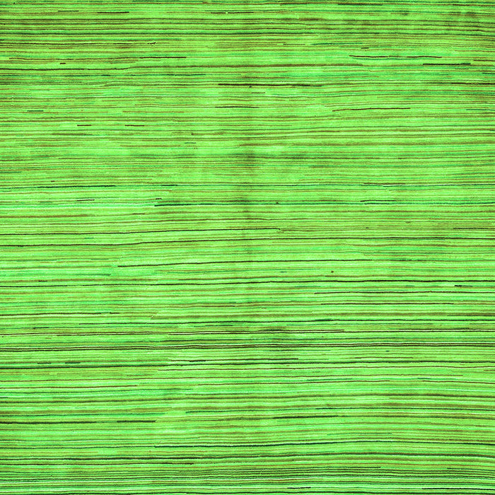 Square Oriental Green Modern Rug, abs3048grn