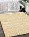 Machine Washable Abstract Khaki Gold Rug in a Family Room, wshabs3074