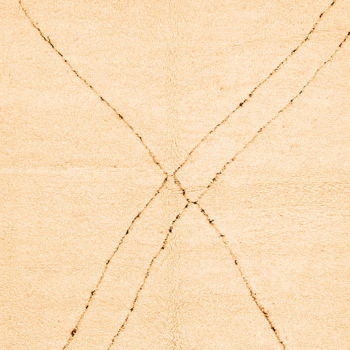 Solid Orange Modern Rug, abs3089org