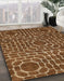 Machine Washable Abstract Red Brown Rug in a Family Room, wshabs309