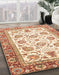 Machine Washable Abstract Khaki Gold Rug in a Family Room, wshabs3101