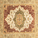 Square Machine Washable Abstract Brown Modern Rug, wshabs3109brn