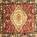 Square Machine Washable Persian Brown Traditional Rug, wshabs3111brn