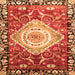 Square Machine Washable Persian Orange Traditional Area Rugs, wshabs3111org