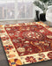 Machine Washable Abstract Red Rug in a Family Room, wshabs3114