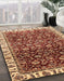 Machine Washable Abstract Tomato Red Rug in a Family Room, wshabs3135