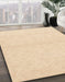 Machine Washable Abstract Khaki Gold Rug in a Family Room, wshabs3139
