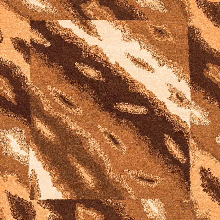 Square Machine Washable Animal Orange Modern Area Rugs, wshabs3176org