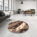 Round Abstract Brown Animal Rug in a Office, abs3176