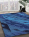 Machine Washable Abstract Blueberry Blue Rug in a Family Room, wshabs3177