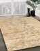 Machine Washable Abstract Khaki Gold Rug in a Family Room, wshabs3187