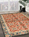 Machine Washable Abstract Brown Sugar Brown Rug in a Family Room, wshabs3198