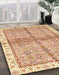 Abstract Orange Oriental Rug in Family Room, abs3200