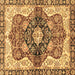 Square Machine Washable Persian Brown Traditional Rug, wshabs3208brn