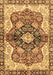 Machine Washable Persian Brown Traditional Rug, wshabs3208brn