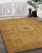 Machine Washable Abstract Sedona Brown Rug in a Family Room, wshabs320