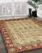 Abstract Saddle Brown Oriental Rug in Family Room, abs3217