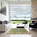 Square Abstract Avocado Green Oriental Rug in a Living Room, abs3219