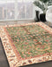 Abstract Light Brown Oriental Rug in Family Room, abs3251