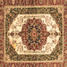 Square Persian Brown Traditional Rug, abs3252brn